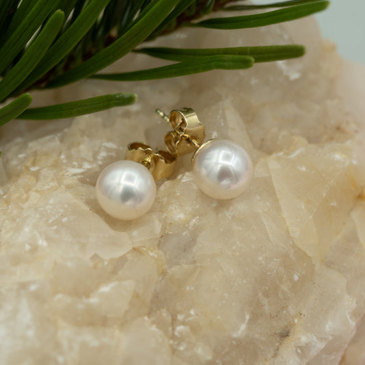 Klassik Süßwasser-Zuchtperle